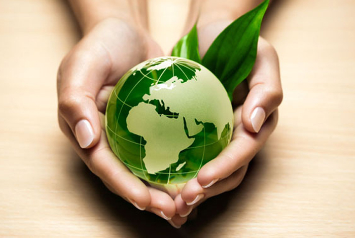 Уничтожение архивных документов - Энергия Синтез